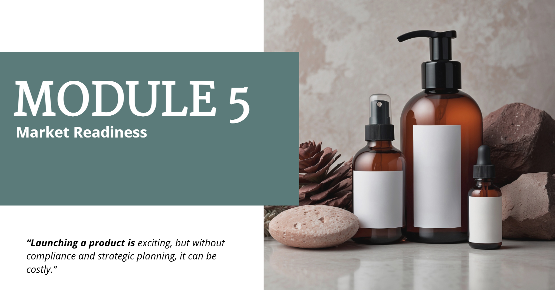 Foundations of Skincare Product Development - Module 5 Market Readiness