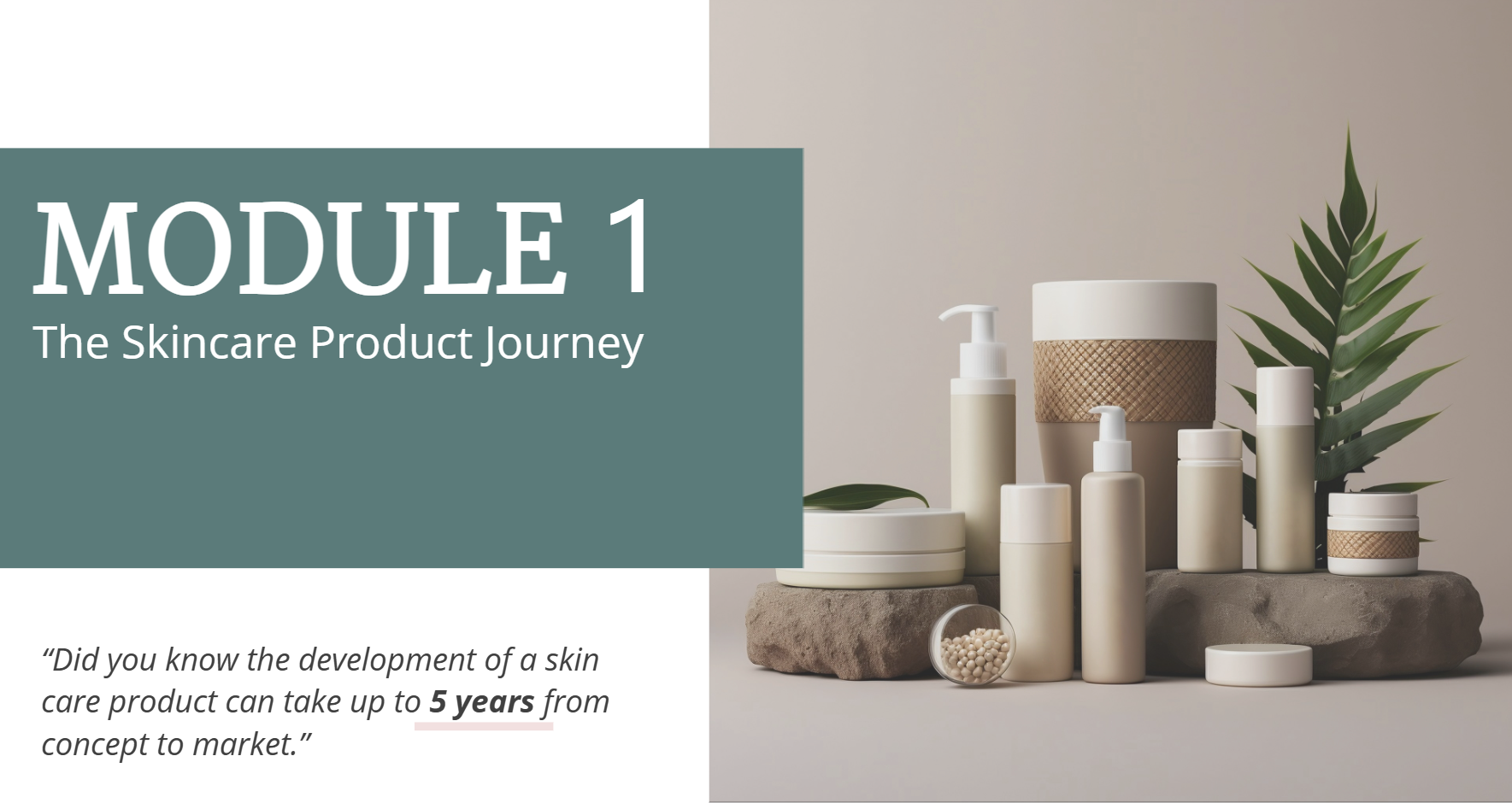 Foundations of Skincare Product Development - Module 1 The Skincare Product Journey